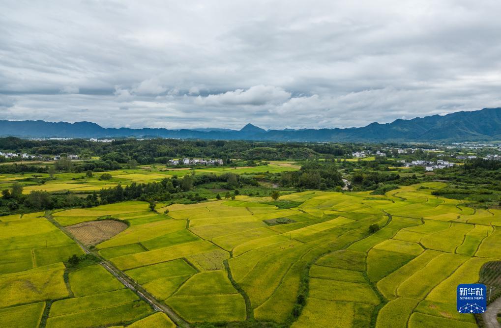 永利真人平台登录